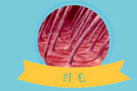 一分鐘了解<em>生物學</em><em>術語</em>纖毛