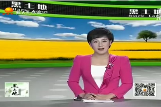 養豬寶典：空懷母豬的<em>飼養</em><em>管理</em>要點