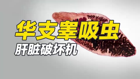 <em>華支睪吸蟲</em>——肝臟破壞機
