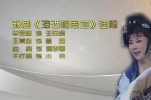 《淚灑相思地》<em>選段</em>