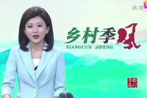 如何對(duì)畜禽的<em>糞污</em>進(jìn)行無(wú)害化<em>處理</em>？專家實(shí)地進(jìn)行支招