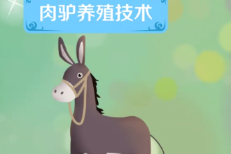 一分鐘了解<em>肉</em>驢養殖<em>技術</em>