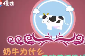 奶牛為什么只吃草還能增肌呢？