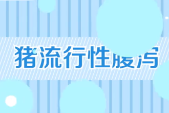 一分鐘了解豬流行性腹瀉