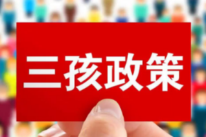 盤點(diǎn)人大代表關(guān)于三孩政策的建議