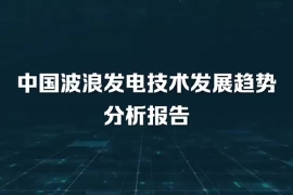 中國(guó)波浪發(fā)電技術(shù)發(fā)展趨勢(shì)分析報(bào)告