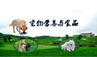 <em>微</em><em>課</em>：寵物養(yǎng)護<em>與</em>馴導(dǎo)<em>專業(yè)</em>《寵物<em>營養(yǎng)</em><em>與</em><em>食品</em>》