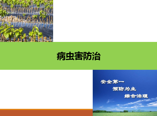 <em>園藝</em><em>技術(shù)</em><em>專業(yè)</em>：《<em>果樹</em>生產(chǎn)創(chuàng)新模塊—病蟲害防治》<em>課程</em><em>思</em>政<em>案例</em>