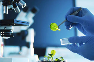 化學專業：《化學與人類—核能利用的科學精神和家國情懷》課程思政案例