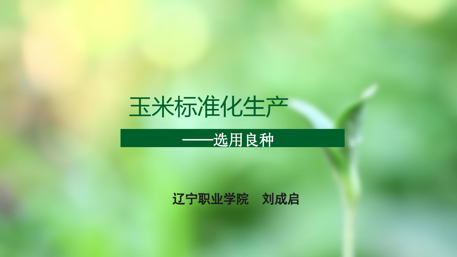 <em>課件</em>：<em>作物</em><em>生產(chǎn)</em><em>與</em><em>經(jīng)營(yíng)管理</em><em>專業(yè)</em>《玉米標(biāo)準(zhǔn)化<em>生產(chǎn)</em>—選用良種》