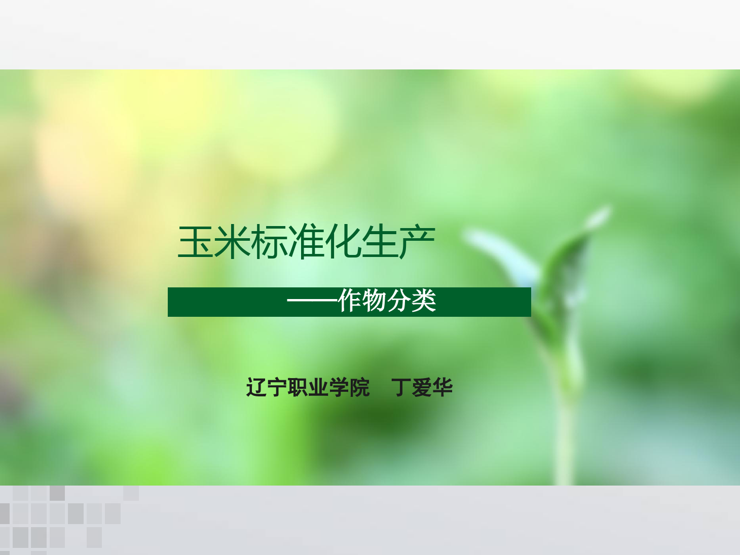 課件：作物生產與經營管理專業《玉米標準化生產—作物分類》