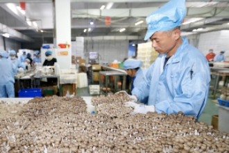 園藝技術(shù)專業(yè)：《物盡其用》課程思政案例