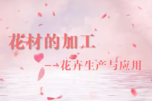 <em>微</em><em>課</em>：園林<em>技術(shù)</em><em>專業(yè)</em>《插花<em>與</em>盆景—花<em>材</em><em>的</em>加工》
