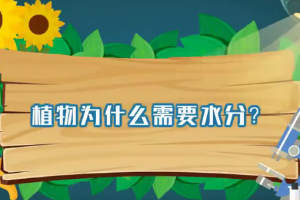 植物<em>為什么</em>需要水分？