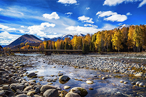 <em>定制</em><em>旅行</em><em>管理</em><em>與</em><em>服務(wù)</em><em>專業(yè)</em>：《<em>旅游</em><em>市場營銷</em>》課程<em>思</em><em>政</em>案例