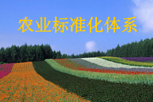 <em>課件</em>：<em>作物</em><em>生產(chǎn)</em><em>與</em><em>經(jīng)營(yíng)管理</em><em>專業(yè)</em>《農(nóng)業(yè)標(biāo)準(zhǔn)化》