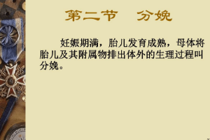 <em>課件</em>：<em>中</em><em>獸醫</em><em>專業</em>《<em>中</em><em>獸醫</em>外科與產科—分娩》