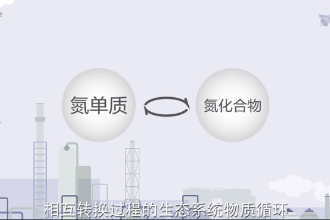 氮循環—生態系統物質循環