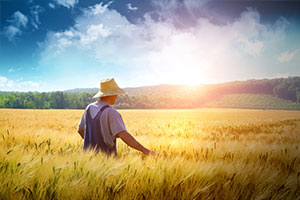 飼草生產技術<em>專業</em>：植物生理學<em>課程</em><em>思</em>政教學大綱