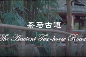 茶馬古道