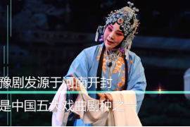 <em>一分鐘</em><em>了解</em>豫劇