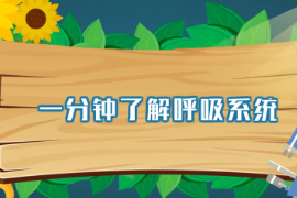 一分鐘了解呼吸系統