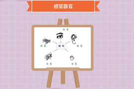一分鐘了解感覺器官