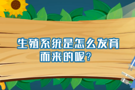 生殖系統是怎么發育而來的呢？