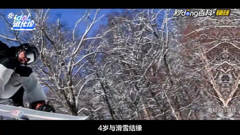 蘇翊鳴—中國單板滑雪運(yùn)動員