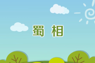 《蜀相》—杜甫創作七言律詩