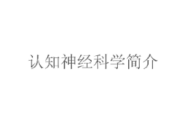 課件：認知科學與技術專業《認知神經科學》