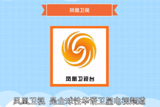 鳳凰衛視—全球性<em>華語</em>衛星電視頻道