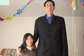 一分鐘了解鮑喜順