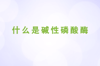 什么是堿性磷酸酶