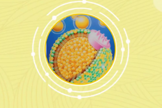一分鐘了解極低<em>密度</em>脂蛋白