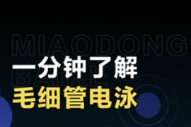 一分鐘了解毛細管電泳