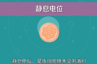 帶您了解靜息電位