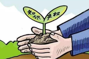帶你了解知識產權法（圖3）