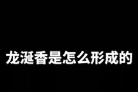 龍涎香是怎么形成<em>的</em><em>你</em><em>知道嗎</em>？