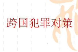 <em>課件</em>：<em>涉外</em><em>警務</em><em>專業(yè)</em>《跨國犯罪對策》