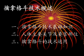 <em>課件</em>：警犬技術<em>專業</em>《<em>擒拿格斗</em>—<em>概述</em>》