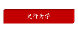 <em>課件</em>：<em>警犬</em><em>技術</em><em>專業</em>《犬行為學》