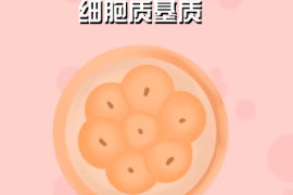 一分鐘了解細胞質基質（胞漿）