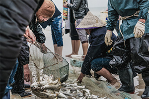 海洋<em>科學</em>專業：《水產<em>動物</em><em>生理學</em>》<em>課程</em><em>思</em><em>政</em><em>案例</em>
