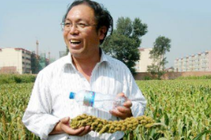 趙治海—<em>雜交</em>谷子<em>之父</em>