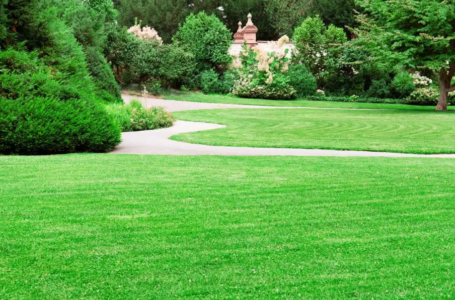 <em>課程標準</em>：<em>園林</em><em>工程技術</em><em>專業(yè)</em>《草坪建植與養(yǎng)護》<em>課程標準</em>