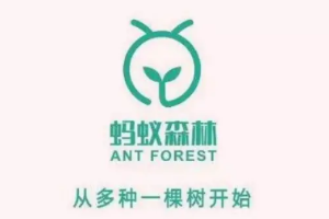帶你了解螞蟻<em>森林</em>支付寶客戶端公益行動(dòng)