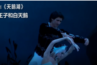 <em>芭蕾舞劇</em>《天鵝湖—曲2王子和白天鵝》