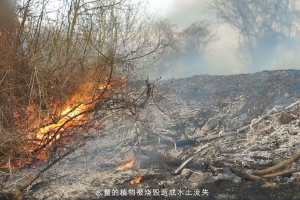森林消防法律知識(shí)