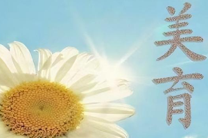 <em>通</em><em>識</em><em>課</em>：《大學(xué)美育》<em>課程</em><em>思</em><em>政</em><em>申報</em><em>書</em>